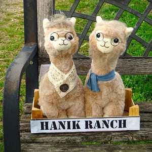 Abuelos Alpaca Abuela Abuelo Alpaca Alpaca Abuelos Pareja