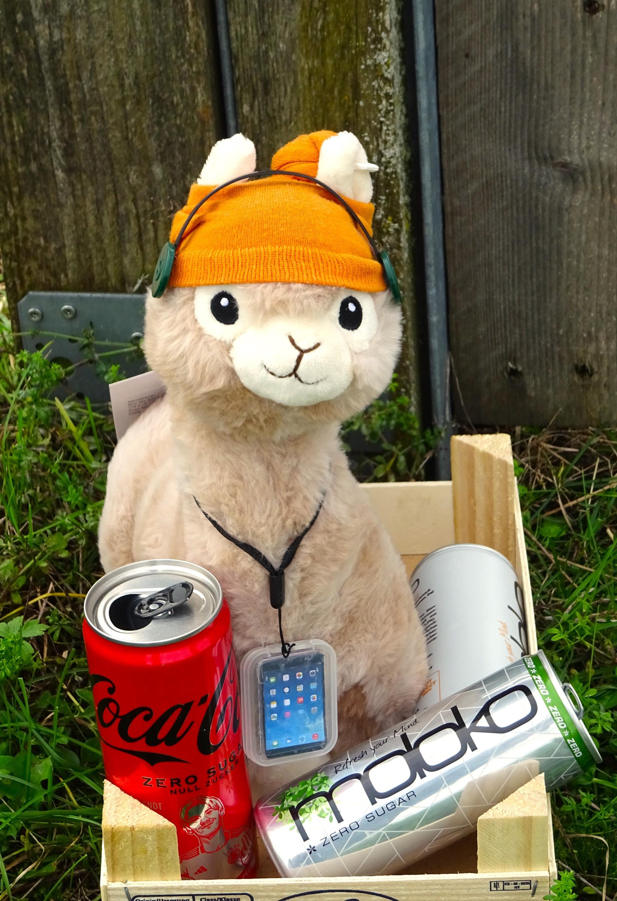 Alpaca Cool Boy, Mega Cool Teen Alpaca, Puberty Alpaca, Teenager Alpaca