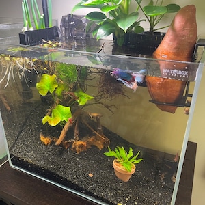 Miniature Garden Pot Aquarium Planter