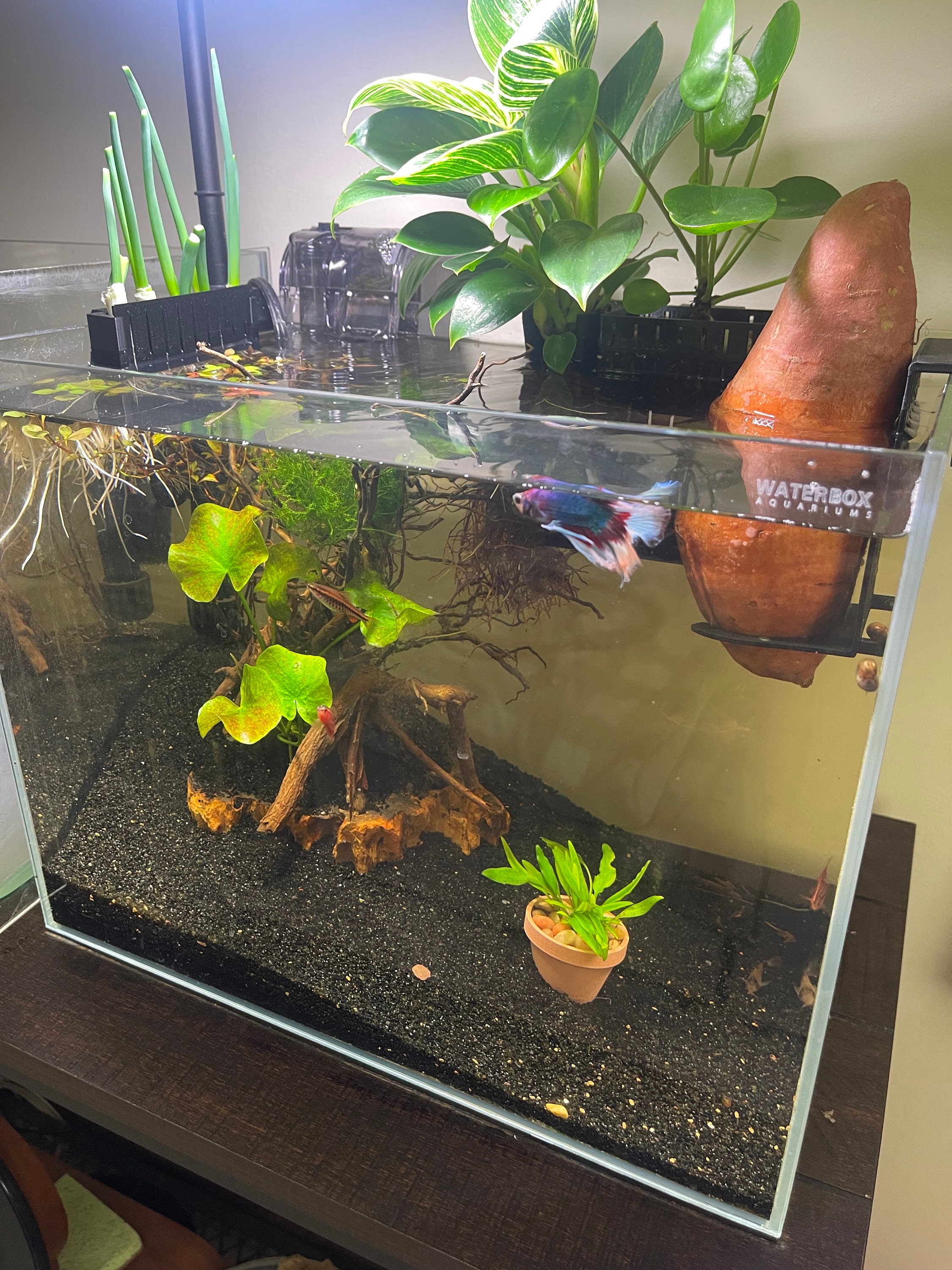 Pot aquarium decoration hot sale