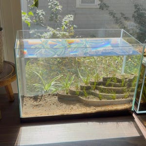 May include: A rectangular glass aquarium filled with water, featuring a sandy bottom and a tiered, gray stone-like structure. Small green aquatic plants are planted within the levels of the structure and on the sand, creating a layered landscape.