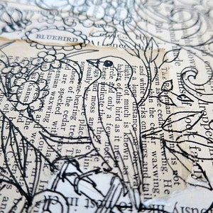 Two Bird Themed Coloring pages
