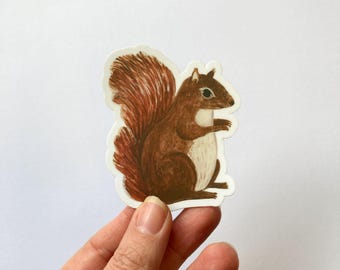 Sweet Squirrel Matte Vinyl Sticker