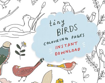 Tiny Birds - Instant Download Printable Colouring Pages