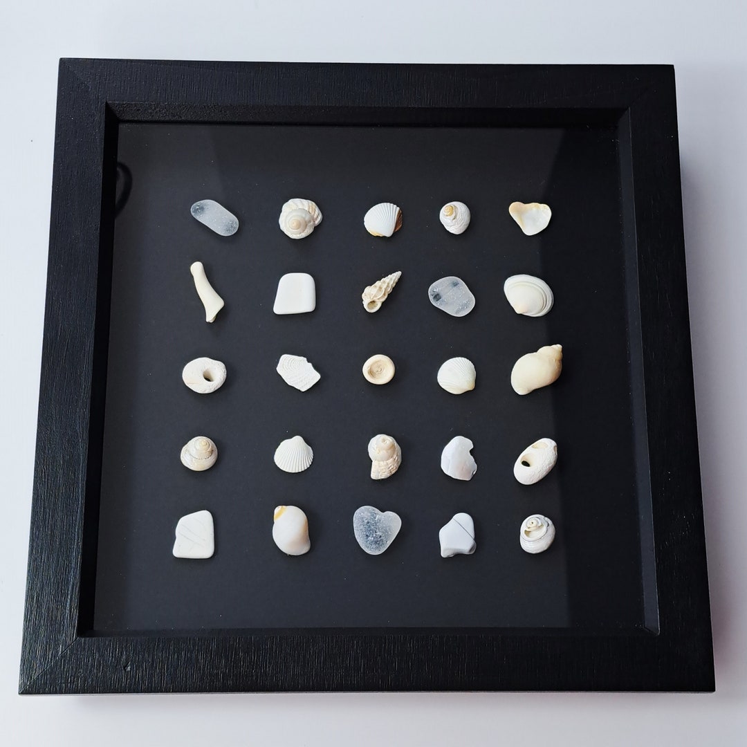 SEASIDE SIMPLICITY | Seashell Collage Art in Shadow Box Frame | One of ...