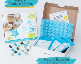 DIY Gummy Dino Making Kit 3 Candy Mixes Natural Flavoring, Kids Cooking Activity Set Gift for Children Family Handicraft Creativity Learning