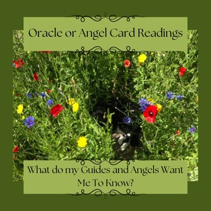 What do my Guides/Angels want me to know?