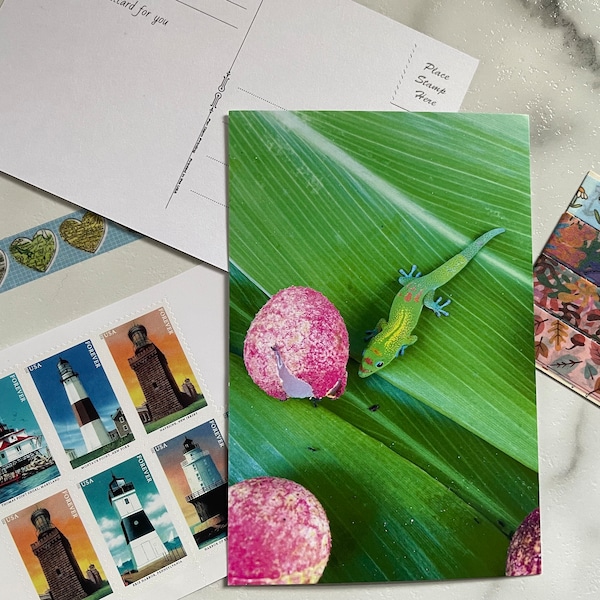 Gold Dust Day Gecko, Painted Church, Hawaii, USA Location Photography Postcard
