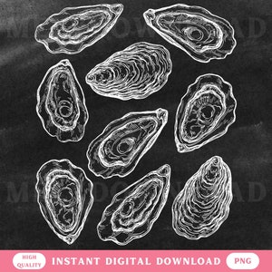 Oyster Shell PNG Sommer Design für Shirts oder Tragetaschen Küsten Digitale Datei Muschel Trendy Urlaub PNG Instant Download Ocean Beach PNG