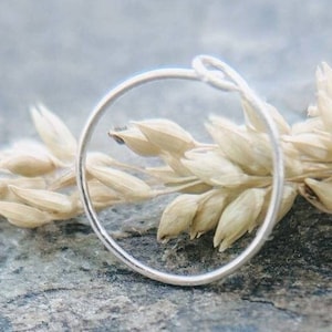 May include: A silver hoop nose ring, lying on a bed of dried grass.