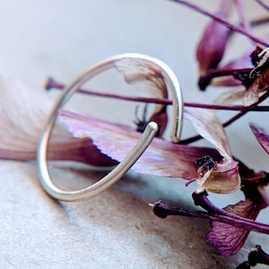 Könnte beinhalten: Ein einfacher silberner Ring mit abgerundeter Form, der auf einem Bett aus getrockneten lila Blüten liegt.