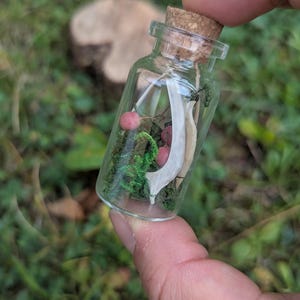 Pode incluir: Uma pequena garrafa de vidro com rolha de cortiça, cheia de cogumelos em miniatura, musgo verde e um objeto branco semelhante a um osso. A garrafa é segurada na mão contra um fundo verde desfocado.