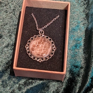 May include: A silver-toned pendant necklace featuring a circular frame with an ornate, scalloped edge. The centre of the pendant contains a textured, tan-coloured scale pattern under a clear, smooth dome. The necklace is presented in a small, rectangular cardboard box with a black foam insert.