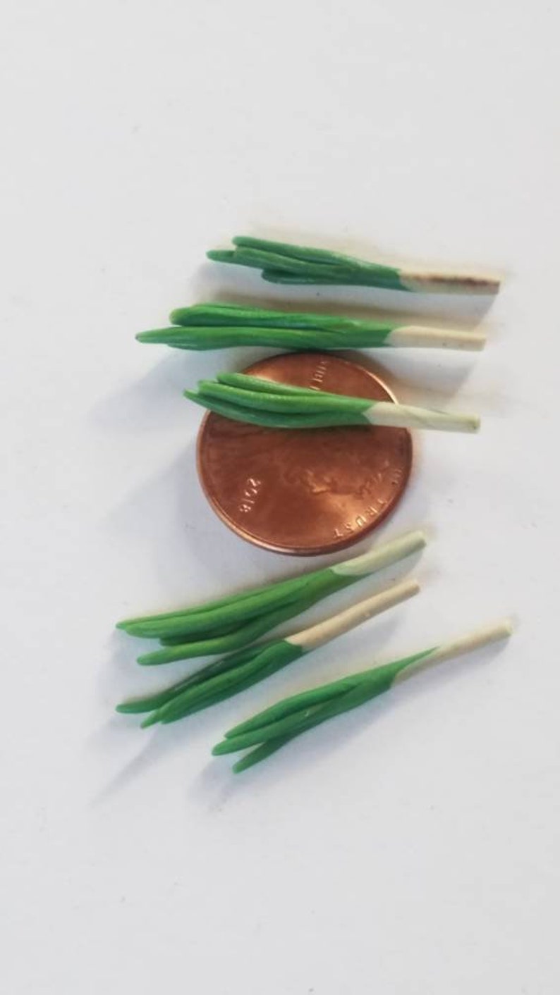 Miniature green onions of 6