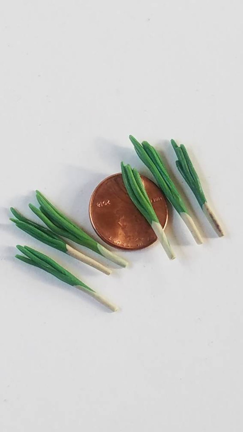 Miniature green onions of 6