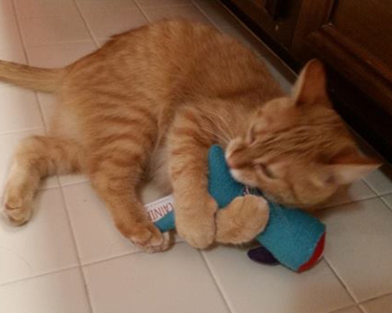 Handmade Catnip Cat Toy / Severed Shark Tail Catnip Toy / Gift Etsy