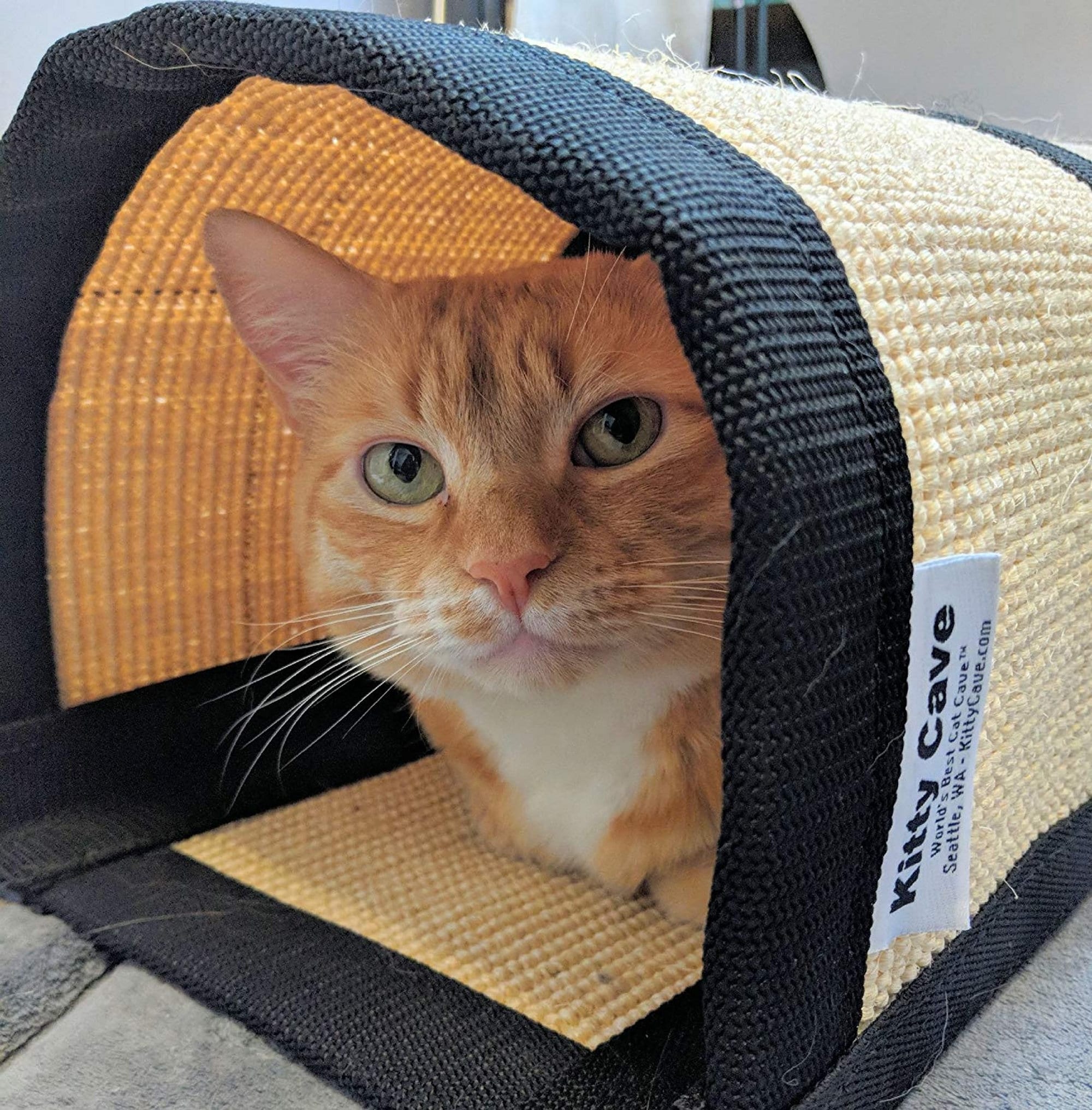 best cat cave