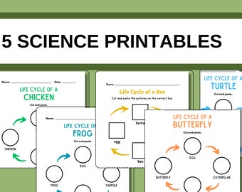 Science Worksheets for Kindergarten and Homeschool - Etsy