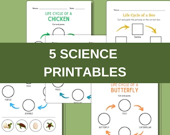 Life Cycle Science Worksheets: Homeschool Biology Printables (PDF+PNG)