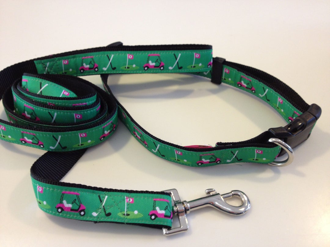 Preppy Fun Golf Cart Dog Collar and Leash Kelly Green Pink Etsy