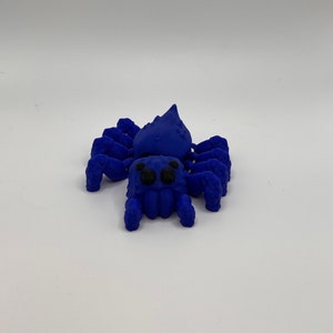 Lindo llavero de araña saltadora