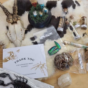 Mystery Box Kuriositetskabinett – 4 teman att välja mellan | 10+ unika föremål