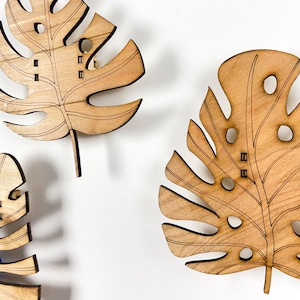 Monstera Leaves Set of Three Jewelry Holder image 10