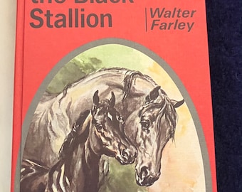 Son Of Black Stallion