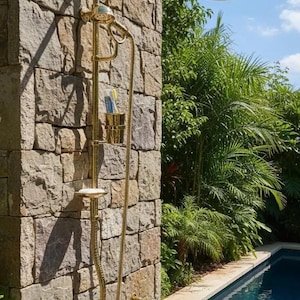 May include: An outdoor shower fixture with a gold finish is mounted on a stone wall. The showerhead is round, and there is a handheld showerhead, soap dish, and a toilet paper holder. Lush green plants and a pool are in the background.