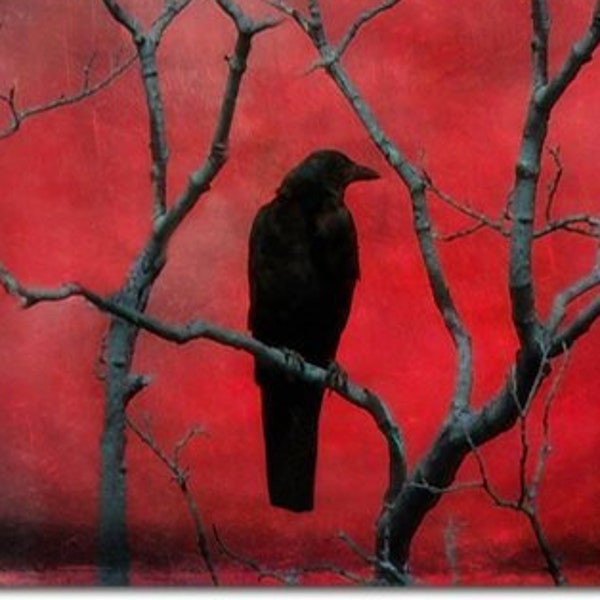 Red 8X10 Photograph, Raven Art Print, Surreal, Crow Picture, Gothic Decor, Abstract Crow, Metallic, Blackbird, Gothic Art - Red Vision