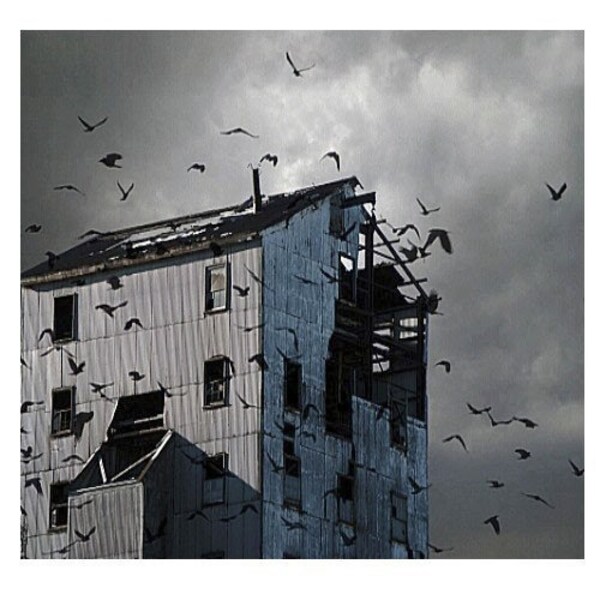 Urban Birds Industry Metallic Ravens