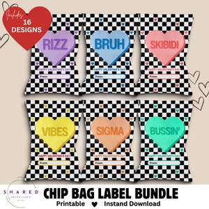 Étiquettes de sac à jetons pour enfants d'argot, cadeau de classe imprimable drôle Skibidi Rizz Sigma Vibes Cool Teen Tween School Vday Candy Hearts