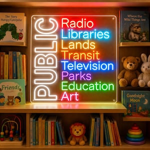 Insegna al neon per servizi pubblici, radio, biblioteche, parchi, istruzione, arte, decorazione murale a LED, luce al neon per aula, regalo per insegnanti, decorazione al neon per aule scolastiche