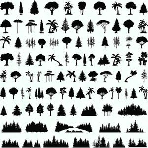 Baum SVG Bundle, Baum PNG Bundle, Baum Clipart, Baum geschnitten Dateien für Cricut, Baumsilhouette, Wald svg, Landschaftssvp, Palmensvg.