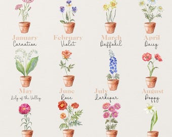 May include: A watercolor illustration of birth month flowers in terracotta pots. Each pot contains a different flower, with the month and flower name below. Includes Carnation, Violet, Daffodil, Daisy, Lily of the Valley, Rose, Larkspur, Poppy, Aster, Marigold, Chrysanthemum, and Narcissus.