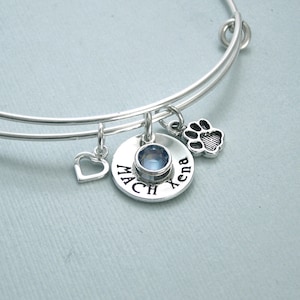 May include: Silver charm bracelet with a paw print charm, a heart charm, and a round charm with the name "Xena" and a blue gemstone.