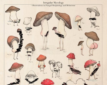 MATURE - Irregular Mycology - 11x14" Print Poster Mushroom Art