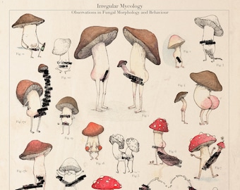 MATURE - Irregular Mycology - 11x14" Print Poster Mushroom Art