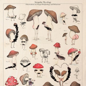 MATURE - Irregular Mycology - 11x14" Print Poster Mushroom Art