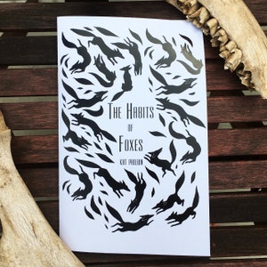 De gewoonten van vossen - Illustration Zine