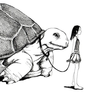 Tortoise Walk - 5x7&quot; Print