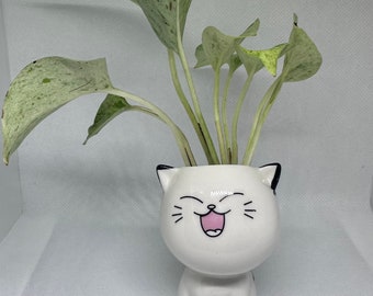 May include: A white ceramic planter shaped like a cat with a smiling face and pink tongue. A green plant with variegated leaves is growing in the planter.