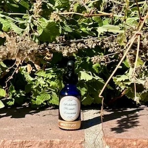 May include: A small blue glass bottle with a dropper top and a gold label that reads "Sublime Flower Essence - Gratitude".