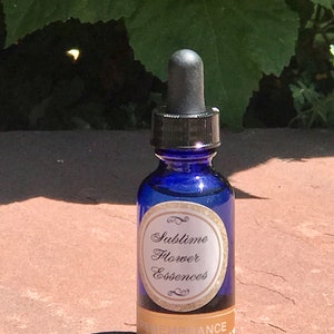 May include: A blue glass bottle with a dropper top and a gold label that reads "Sublime Flower Essences" and "REMEMBRANCE".