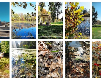 Philadelphia Fairmount Park fotoset van 10, Fairmount Park auteursfoto, geen ansichtkaarten, 4x6 inch (10x15 cm)