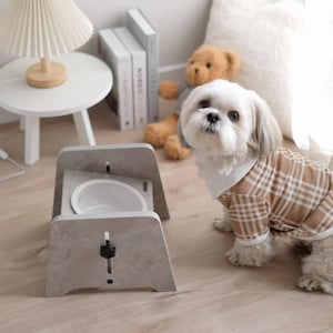 May include: A dog wearing a brown plaid shirt sits near a gray marble pet bowl stand. The stand holds a white ceramic bowl. A small white side table with a lamp and a teddy bear are in the background.
