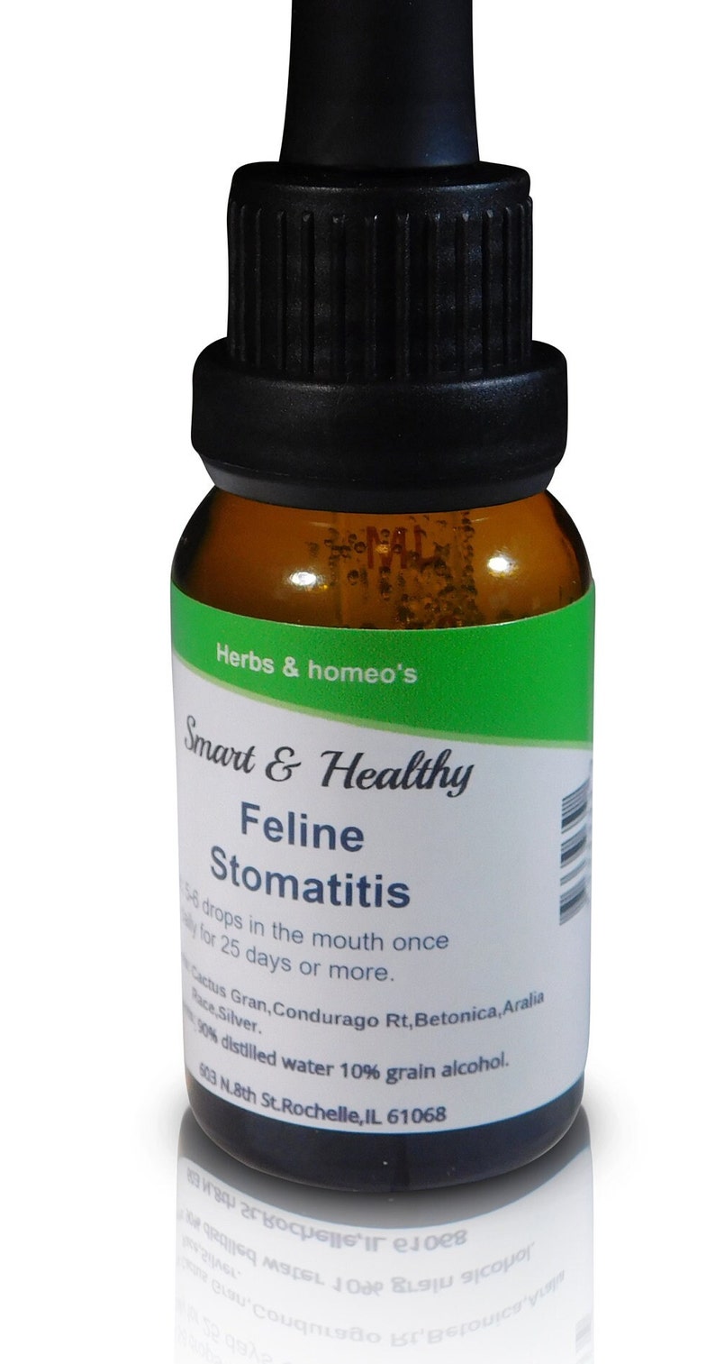 Feline Stomatitis Homeopathic - Etsy - Homeopathic Treatment For Feline Bladder Inflammation