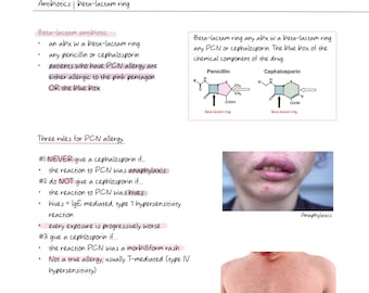 FNP-antibioticum | APEA-beoordeling | 3P-examen | digitale download
