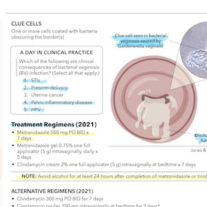 STI Study Guide | FNP & Nursing Exam Prep (Digital Download)