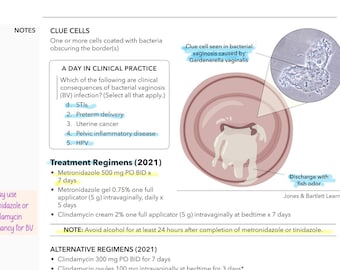 Soa Studiegids | Voorbereiding op examen FNP en verpleegkunde (digitale download)